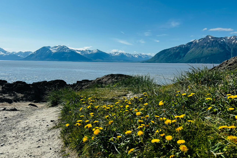 Seward to Anchorage Scenic Tour with Airport drop-off
