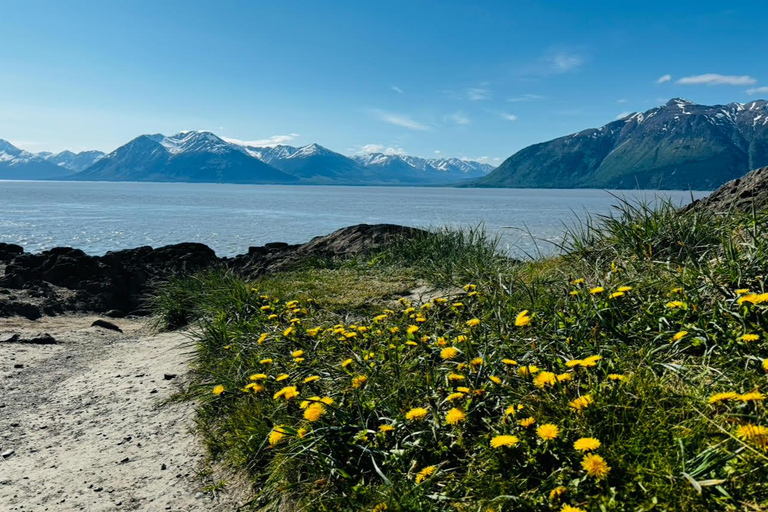 Seward to Anchorage Scenic Tour with Airport drop-off