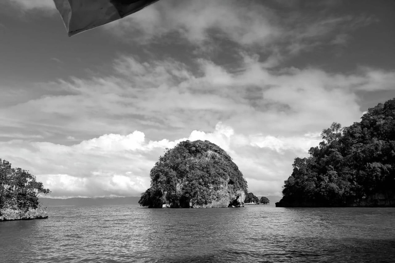 Puerto Plata: Samana, Bacardi Island, and Los Haitises Tour