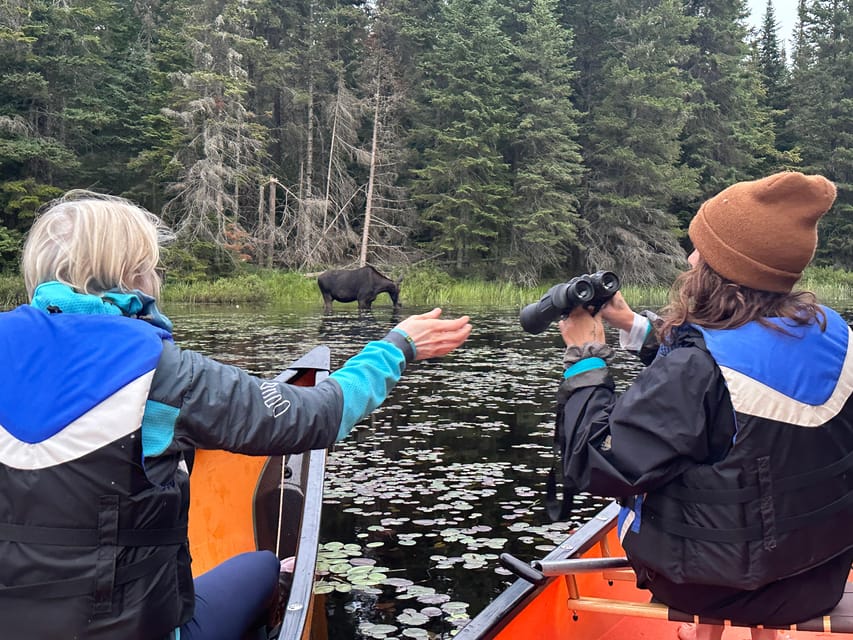 Algonquin Park: Day Tour Canoeing Adventure with Lunch