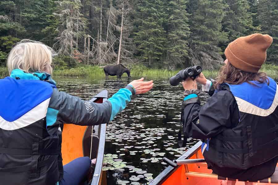 Algonquin Park: Tagestour mit Kanuabenteuer. Foto: GetYourGuide Algonquin Park: Tagestour mit Kanuabenteuer. Foto: GetYourGuide