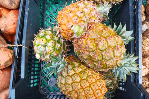 Traditions & Flavors of São Miguel Tour