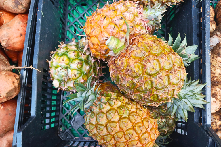 Traditions & Flavors of São Miguel Tour