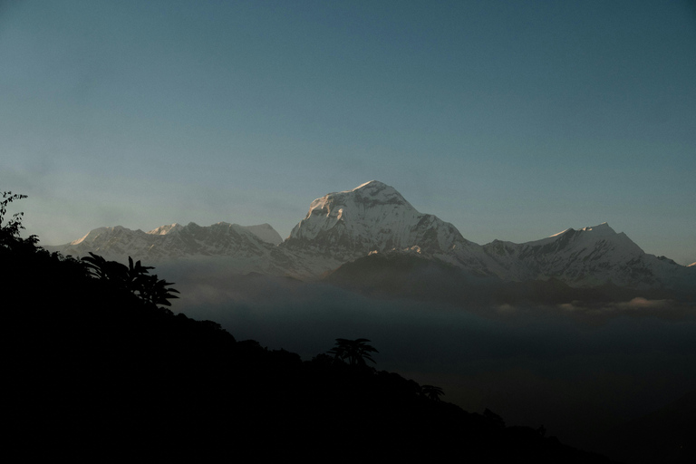 Ghorepani Poon Hill Trek – 5 Days