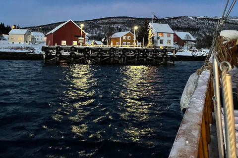 Full day boat trip by Hermes II to old trading post