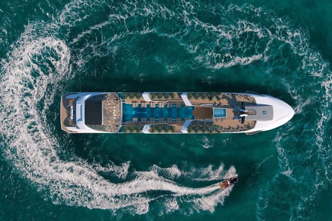 From Hanoi: Halong Bay Luxury Day Cruise on the 6-Star Dolphin - Image 2