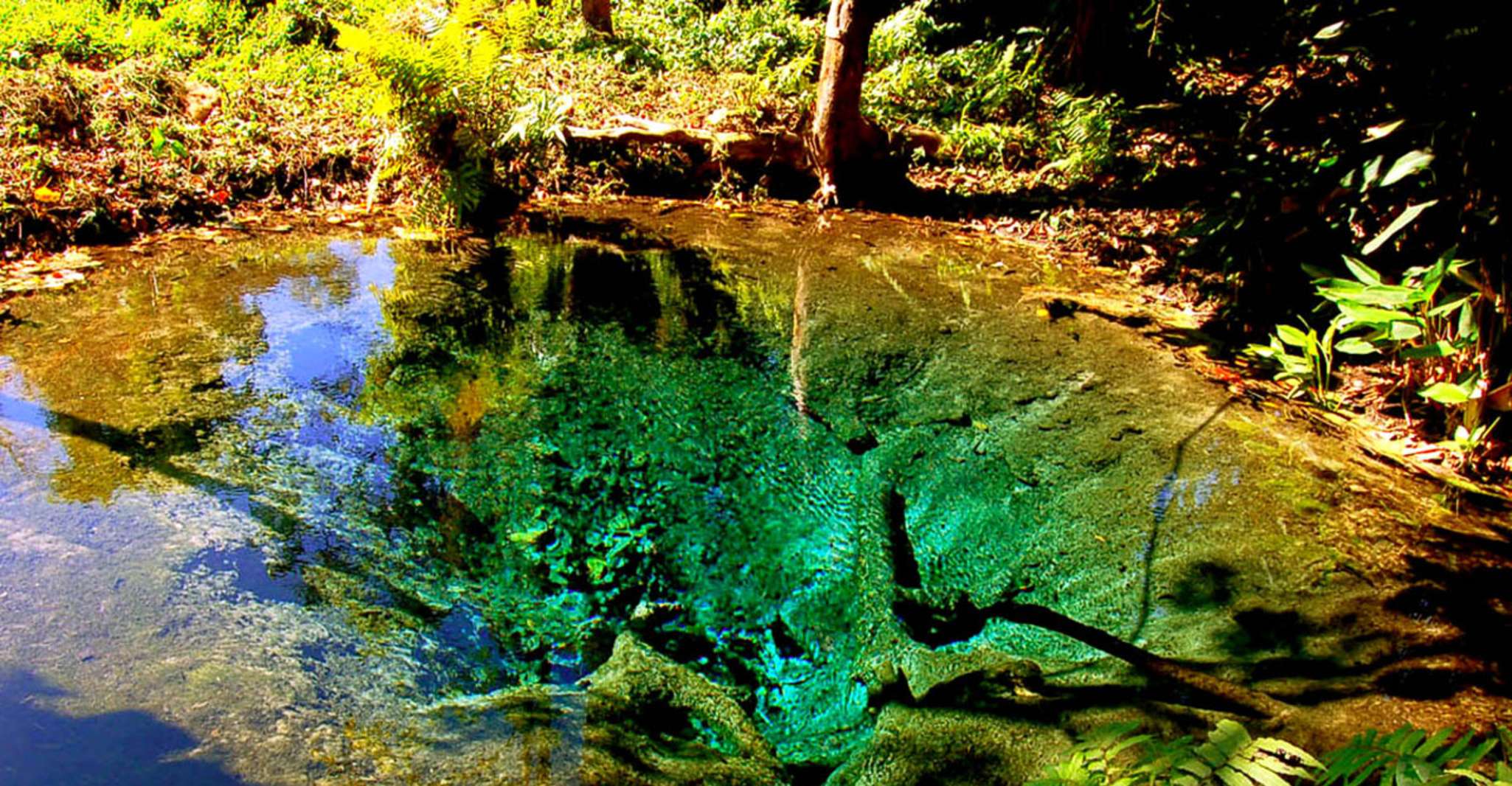 Chiang Mai, Chiang Dao Cave, cascata appiccicosa con longneck - Housity