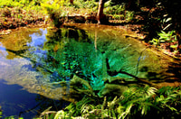 Chiang Mai, Chiang Dao Cave, Sticky Waterfall met Longneck - Housity