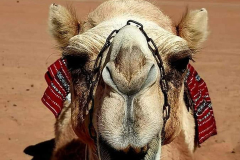 Muscat: Bidiya Desert Tour with Dinner & Visit Bedouin House