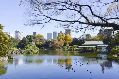 門前仲町：刺身ランチとチームラボのウォーキングツアー