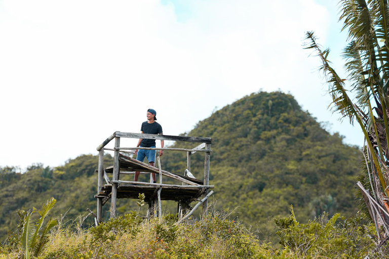 Maurice : randonnée guidée dans les gorges de la Rivière NoireMaurice : Randonnée guidée dans les gorges de la Rivière Noire