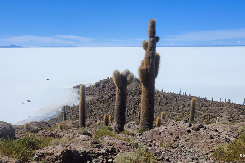 SALAR DE UYUNI:,turer till den majestätiska saltplattan Uyuni