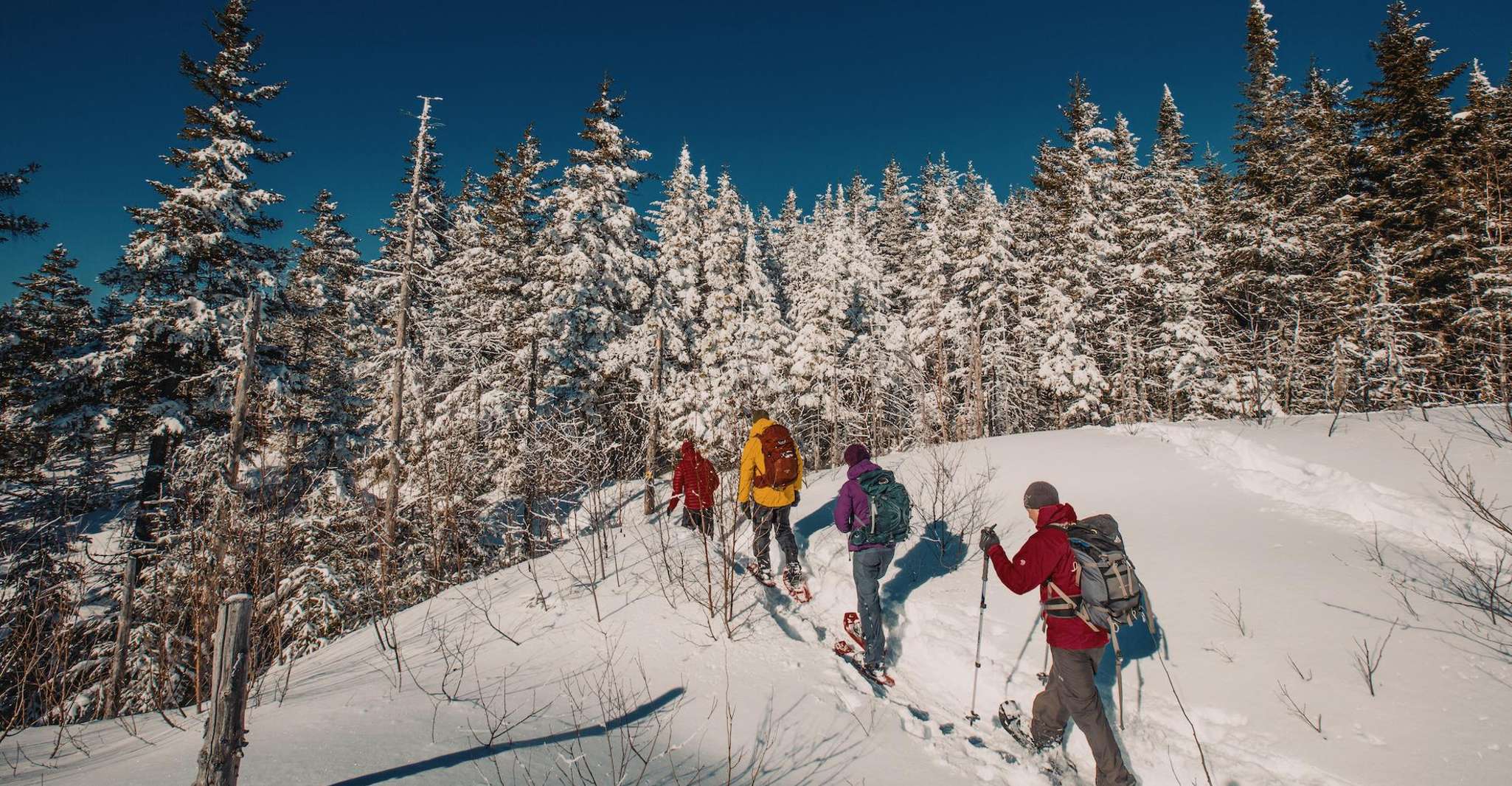 From Montreal: Mont-Tremblant National Park Hiking Day Trip photo 2