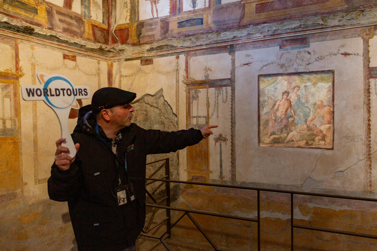 Naples/Salerno Port: Discover the Pompeii Archeological Site Naples port: Regular Grp - French