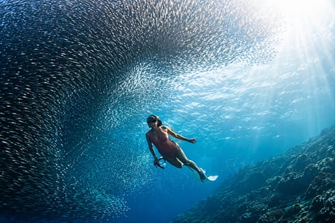 Cebu: Pescador Island, Sardine Run & Mantayupan Falls - Image 2