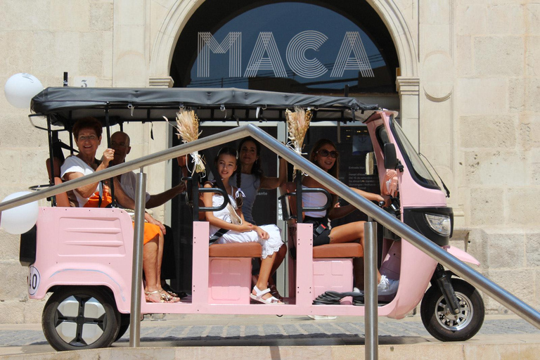 Alicante : Visite en Tuk Tuk