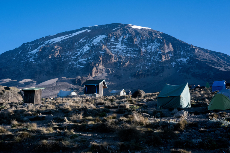 Amazing 6 Days Kilimanjaro Climbing Tour via Rongai route