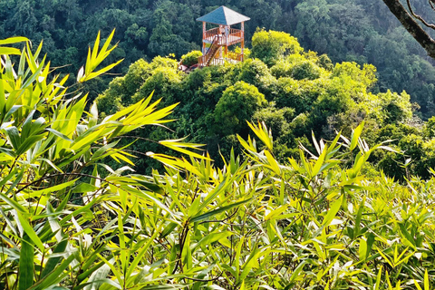 Cat Ba: Half Day Trekking to Visit Cat Ba National Park