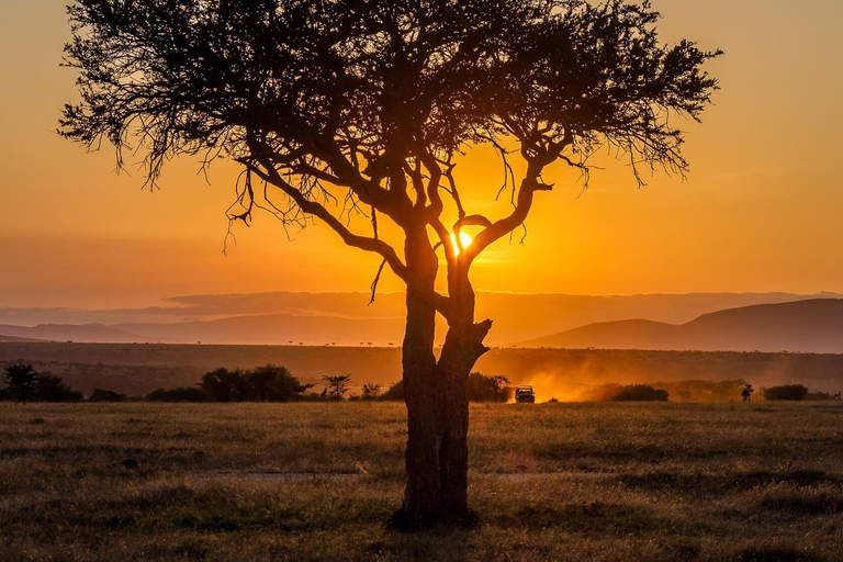 Tour particular com pernoite no Maasai Mara Safari saindo de Nairóbi