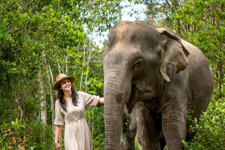 Siem Reap: Excursão em grupo pequeno à floresta de elefantes de Kulen