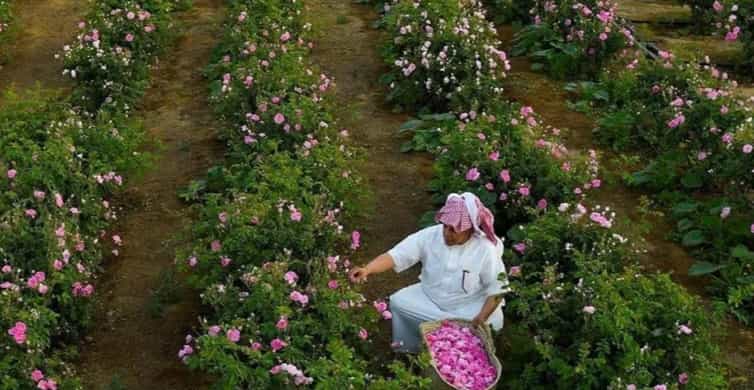 From Jeddah: Full-Day Tour To Taif photo 7