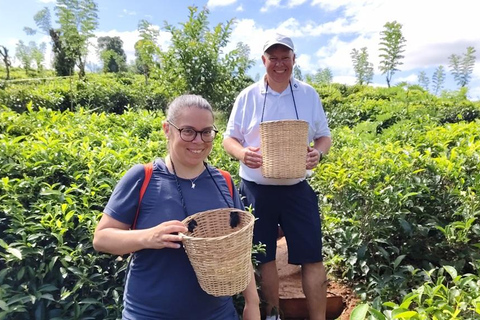 Sri Lanka: 10-Day Wildlife, Culture & Scenic Adventure