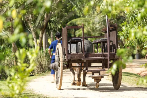 Phuket: Full-Day Local Life Culture Tour with Pickup & Lunch