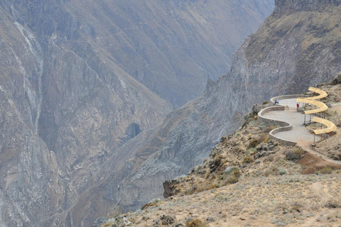 Arequipa: Excursión Clásica de 2 días al Cañón del ColcaClásico de 2 días Cañón del Colca con traslado a Puno