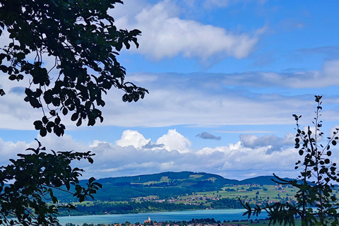 Füssen to Neuschwanstein Castle - Guided Scenic Tour From Munich: Füssen to Neuschwanstein - Guided Scenic Tour