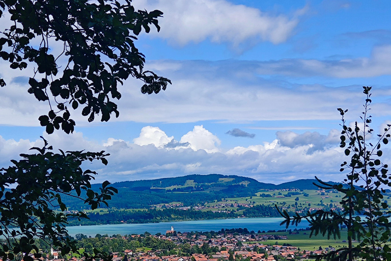 Füssen to Neuschwanstein Castle - Guided Scenic Tour From Munich: Füssen to Neuschwanstein - Guided Scenic Tour