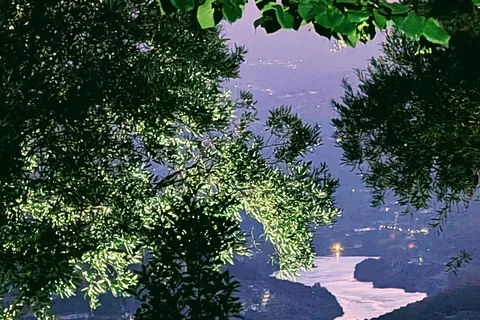From Porto: 2 Wine Regions, Farm-to-Table Lunch & Boat