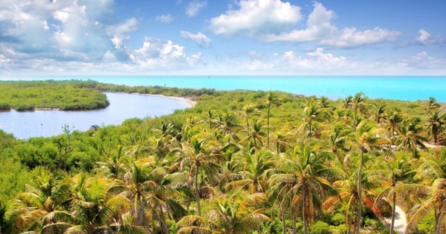 Contoy and Isla Mujeres Island