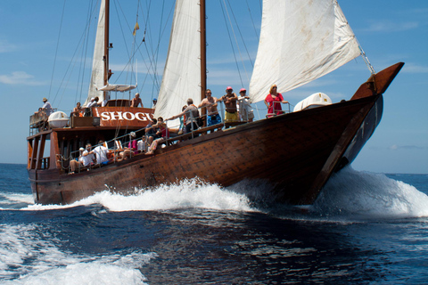 Costa Adeje: walvisspotten op een houten boot en zwemmenTrefpunt COLON HARBOUR - PIER 14
