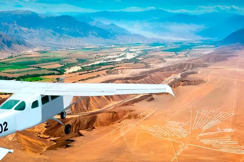 From Lima: Ballestas Islands and Nazca Lines Day Trip