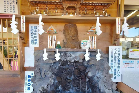 Mt. Fuji & Hakone Tour: Arakurayama, OshinoHakkai, Owakudani Tokyo Station | 7:30 AM Departure with English Guide