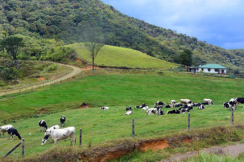 Kandy: Nuwara Eliya and Ambewela Train Station Tour