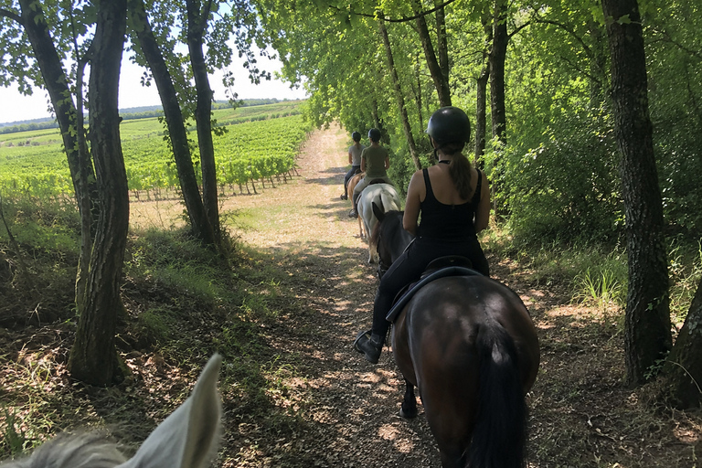 Bordeaux: Private Horse Ride in the Vineyards