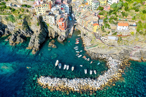 Da Firenze: Tour di un giorno delle Cinque Terre e della Torre Pendente a Pisa