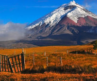 Von Quito, ganzer Tag nach Cotopaxi - Hizvo