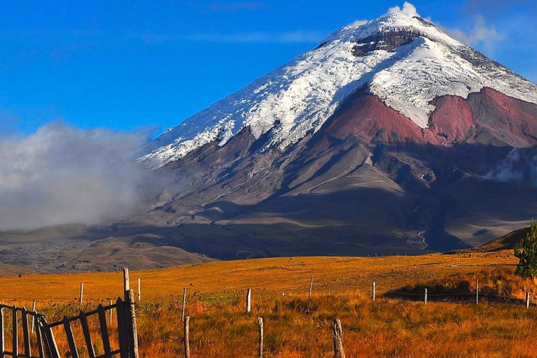 From Quito: Full day to Cotopaxi