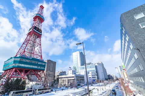 Sapporo Walking TourMorning Tour