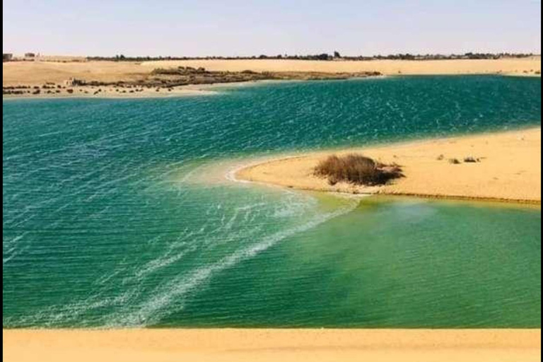 From Cairo: 4x4 Desert Safari, Waterfalls & Magic Lake Shared Tour: Wadi El Rayan, Magic Lake & Lake Qarun, Jeep
