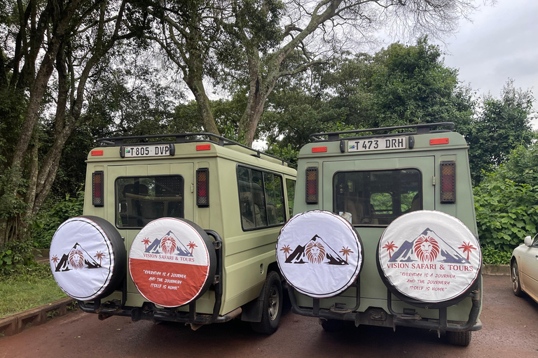 恩戈罗恩戈罗至吉力马扎罗山麓2日经济之旅恩戈罗恩戈罗至马特鲁尼和咖啡之旅（2 天经济之旅）