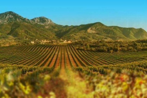 Passeio de degustação de vinhos, passeio opcional pelo pátio de vinhos e passeios de caiaque