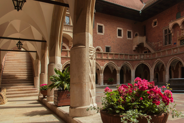 Cracovia: tour privato del quartiere universitario e del Collegium Maius