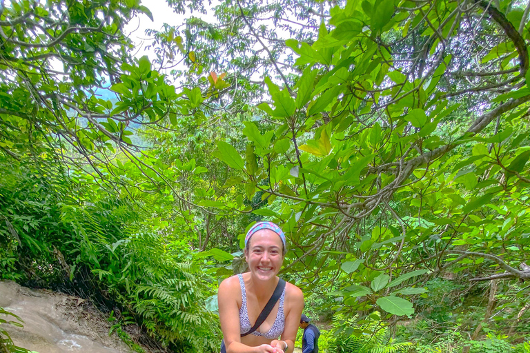 Chiang Mai: The Original Sticky Waterfalls & Thai Cooking