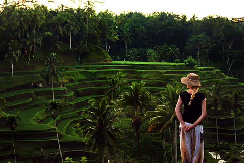 Bali: Ubud Rice Terraces & Waterfall Tour by Bali Bagus