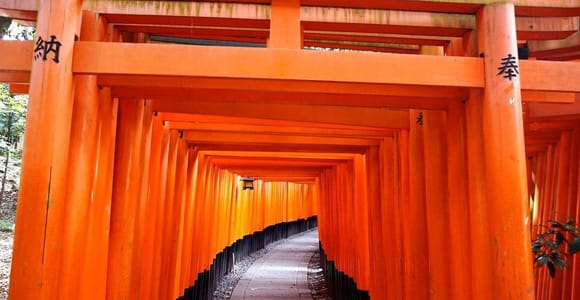 Kyoto: Tenryu-ji, Bamboo Grove, Kinkaku-ji & Fushimi Inari