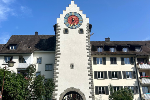 Zürich: Tour zu den Rheinfällen und nach Stein am Rhein