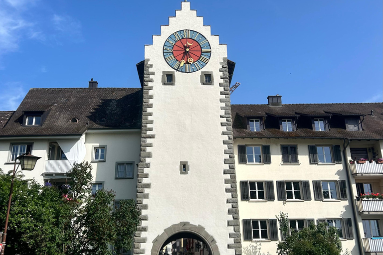 Zürich: Tour zu den Rheinfällen und nach Stein am Rhein